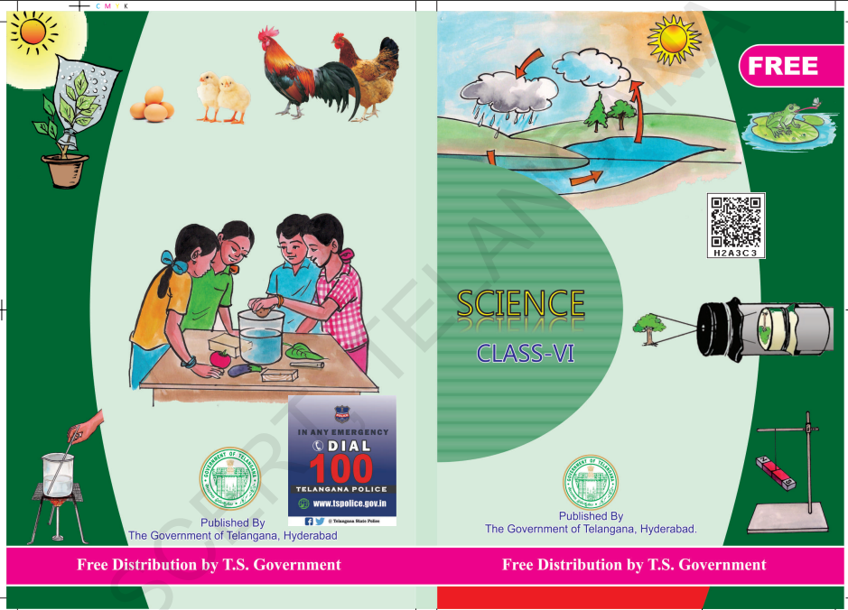 Class 6 Science