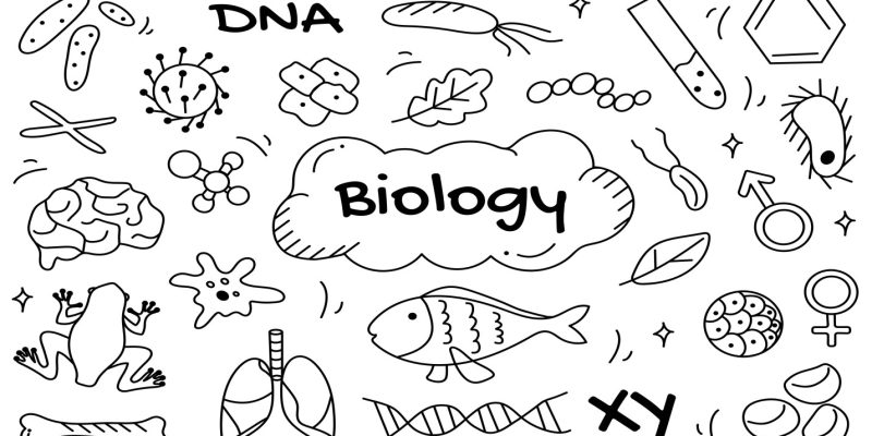Biology Class VIII